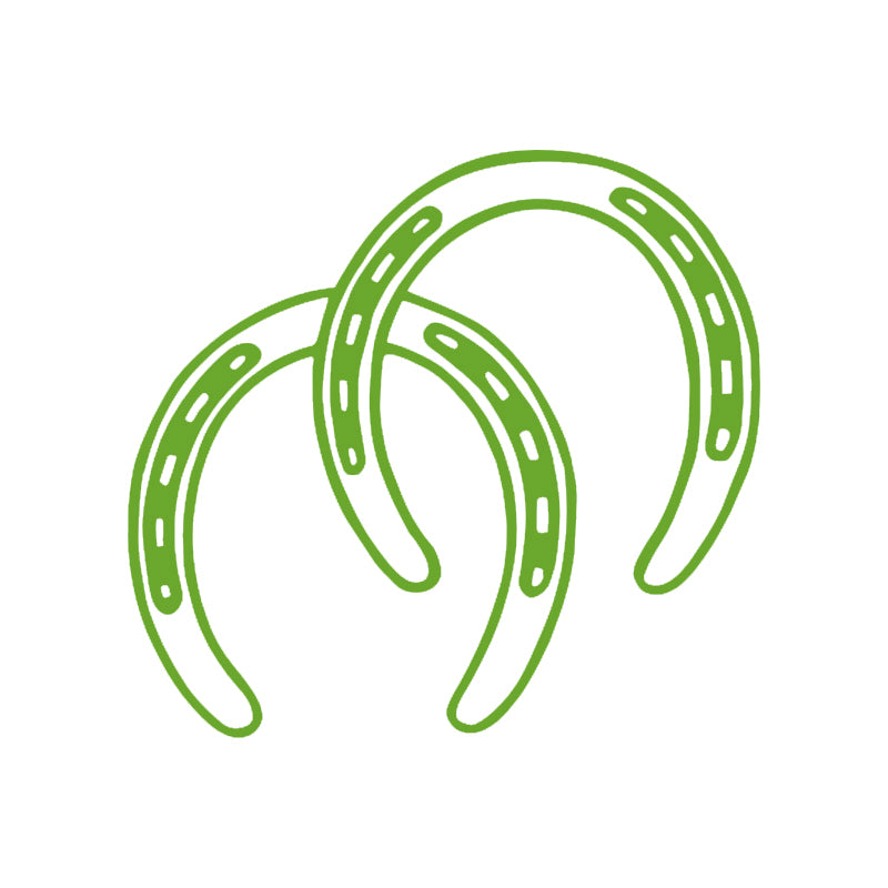 Horse Shoes 5033