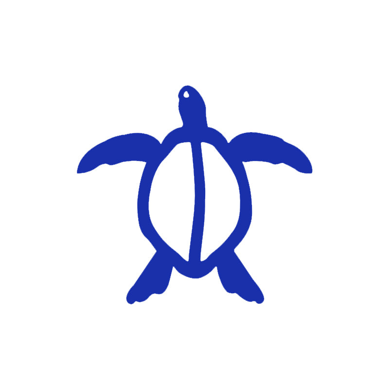 Sea Turtle