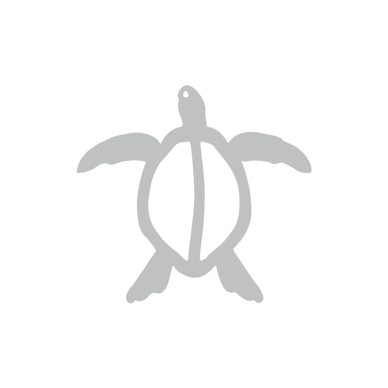 Sea Turtle